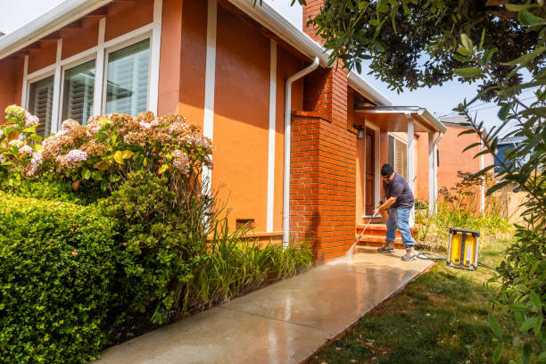 Best Power Washing Near Me  in Griggsvle, IL